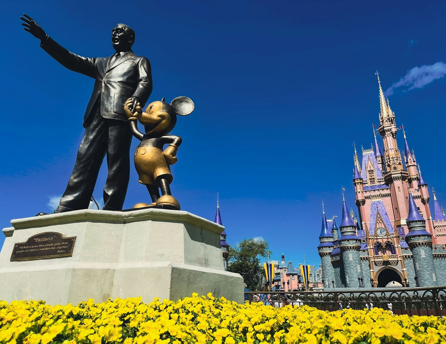 A Day in the Life of a Disney Annual Passholder
